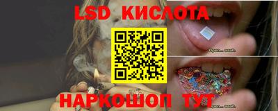 индика Ирбит