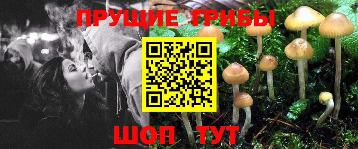 Галлюциногенные грибы ЛСД Будённовск