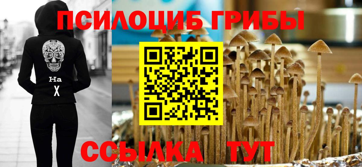 Псилоцибиновые грибы Psilocybe  Вход с VPN  Будённовск  Галлюциногенные грибы Magic Shrooms 
